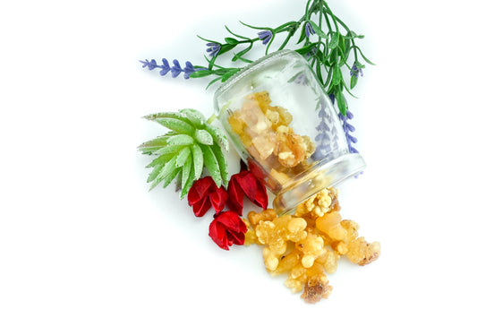 Äthiopischer Weihrauch - Habesha Honey - Natürliches Weihrauchharz Nahaufnahme